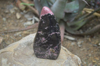 Polished Rhodonite Standing Free Form x 1 From Ambindavato, Madagascar