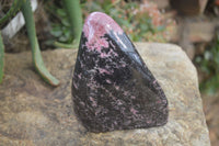 Polished Rhodonite Standing Free Form x 1 From Ambindavato, Madagascar