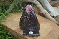 Polished Rhodonite Standing Free Form x 1 From Ambindavato, Madagascar