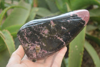 Polished Rhodonite Standing Free Form x 1 From Ambindavato, Madagascar