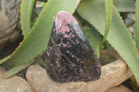 Polished Rhodonite Standing Free Form x 1 From Ambindavato, Madagascar