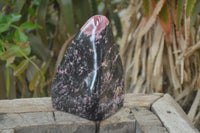 Polished Rhodonite Standing Free Form x 1 From Ambindavato, Madagascar