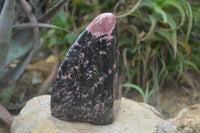 Polished Rhodonite Standing Free Form x 1 From Ambindavato, Madagascar