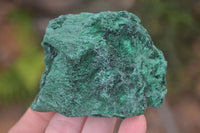 Natural Silky Malachite Specimens x 6 From Kasompe, Congo