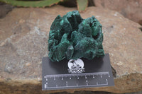 Natural Silky Malachite Specimens x 6 From Kasompe, Congo