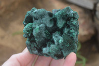 Natural Silky Malachite Specimens x 6 From Kasompe, Congo