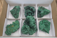 Natural Silky Malachite Specimens x 6 From Kasompe, Congo