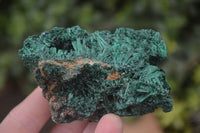 Natural Silky Malachite Specimens x 6 From Kasompe, Congo