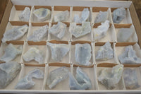 Natural Etched Blue Chalcedony Specimens x 24 From Nsanje, Malawi