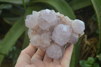 Natural Cactus Flower Lilac Amethyst Spirit Quartz Clusters x 2 From Boekenhouthoek, South Africa