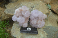 Natural Cactus Flower Lilac Amethyst Spirit Quartz Clusters x 2 From Boekenhouthoek, South Africa