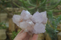 Natural Cactus Flower Lilac Amethyst Spirit Quartz Clusters x 2 From Boekenhouthoek, South Africa