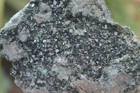 Natural Rare Libethenite Crystals On Dolomite Matrix Specimens x 2 From Shituru, Congo