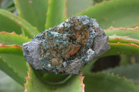 Natural Rare Libethenite Crystals On Dolomite Matrix Specimens x 2 From Shituru, Congo