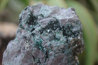 Natural Rare Libethenite Crystals On Dolomite Matrix Specimens x 2 From Shituru, Congo