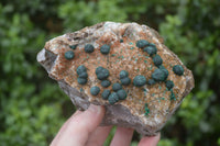 Natural Ball Malachite with Drusy Quartz on Dolomite Matrix Specimens x 2 From Mindingi Mine, Kambove, Congo