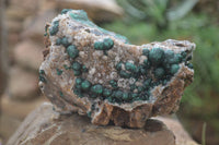 Natural Ball Malachite with Drusy Quartz on Dolomite Matrix Specimens x 2 From Mindingi Mine, Kambove, Congo