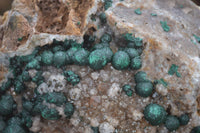 Natural Ball Malachite with Drusy Quartz on Dolomite Matrix Specimens x 2 From Mindingi Mine, Kambove, Congo