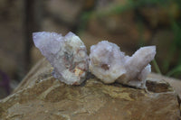 Natural Amethyst Spirit Quartz Clusters x 20 From Boekenhouthoek, South Africa