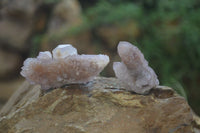 Natural Amethyst Spirit Quartz Clusters x 20 From Boekenhouthoek, South Africa