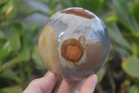 Polished Polychrome Jasper Spheres x 2 From Madagascar