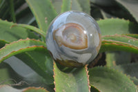 Polished Polychrome Jasper Spheres x 2 From Madagascar