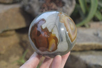 Polished Polychrome Jasper Spheres x 2 From Madagascar