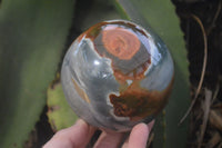 Polished Polychrome Jasper Spheres x 2 From Madagascar