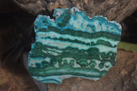 Polished Rare Malacolla Slices x 6 From Kalukundi Mine, Congo