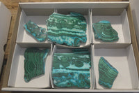 Polished Rare Malacolla Slices x 6 From Kalukundi Mine, Congo