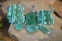 Polished Rare Malacolla Slices x 6 From Kalukundi Mine, Congo