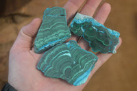 Polished Rare Malacolla Slices x 6 From Kalukundi Mine, Congo