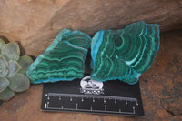 Polished Rare Malacolla Slices x 6 From Kalukundi Mine, Congo