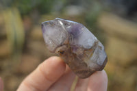 Polished Smokey Amethyst Window Quartz Crystals x 12 From Madagascar