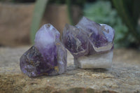 Polished Smokey Amethyst Window Quartz Crystals x 12 From Madagascar