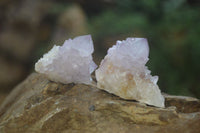 Natural Amethyst Spirit Quartz Crystals x 24 From Boekenhouthoek, South Africa