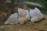 Natural Amethyst Spirit Quartz Crystals x 24 From Boekenhouthoek, South Africa