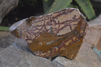 Polished On One Side Nguni Jasper Specimens x 2 From Prieska, South Africa