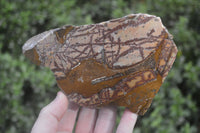 Polished On One Side Nguni Jasper Specimens x 2 From Prieska, South Africa