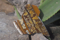 Polished On One Side Nguni Jasper Specimens x 2 From Prieska, South Africa