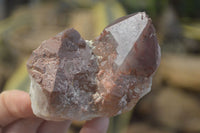 Natural Red Hematoid Quartz Single Crystals x 4 From Karoi, Zimbabwe