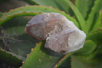 Natural Red Hematoid Quartz Single Crystals x 4 From Karoi, Zimbabwe