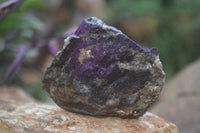 Natural Rare Metallic Purpurite Cobbed Specimens x 12 From Erongo, Namibia