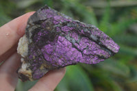 Natural Rare Metallic Purpurite Cobbed Specimens x 12 From Erongo, Namibia