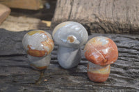 Polished Polychrome Jasper Mushrooms x 3 From Madagascar