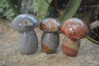 Polished Polychrome Jasper Mushrooms x 3 From Madagascar