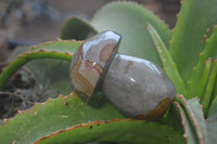 Polished Polychrome Jasper Mushrooms x 3 From Madagascar