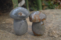 Polished Polychrome Jasper Mushrooms x 3 From Madagascar