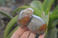 Polished Polychrome Jasper Mushrooms x 3 From Madagascar