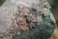 Natural Salrose Cobaltion Dolomite Specimens with Malachite and Heterogenite x 2 From Kakanda, Congo